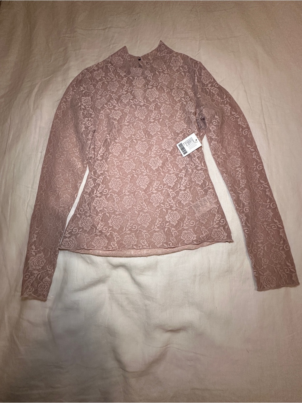 Long Sleeve See Through Rose Lace Mock Neck Top - Blush Pink